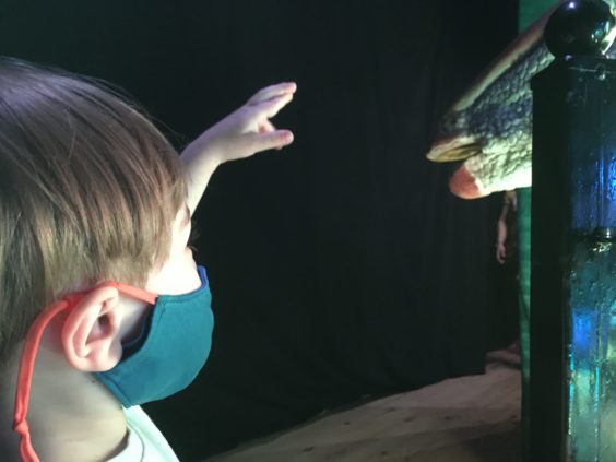 Myron reaching to touch dinosaur