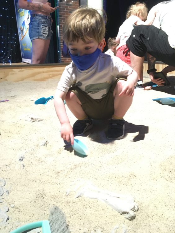 Myron digging in sand for dinosaur fossils